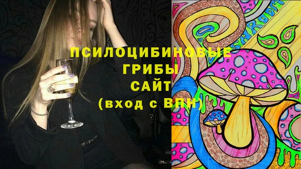 не бодяженный Гусиноозёрск