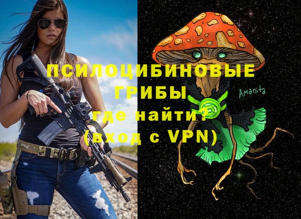 гашик Балабаново